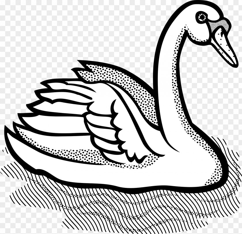 Bird Mute Swan Black Clip Art PNG