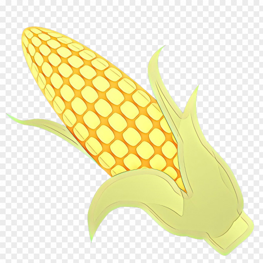 Corn On The Cob Plant Yellow Vegetarian Food Fin Fish PNG