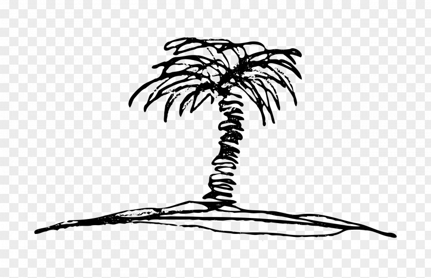 Palm Tree Drawing Clip Art PNG