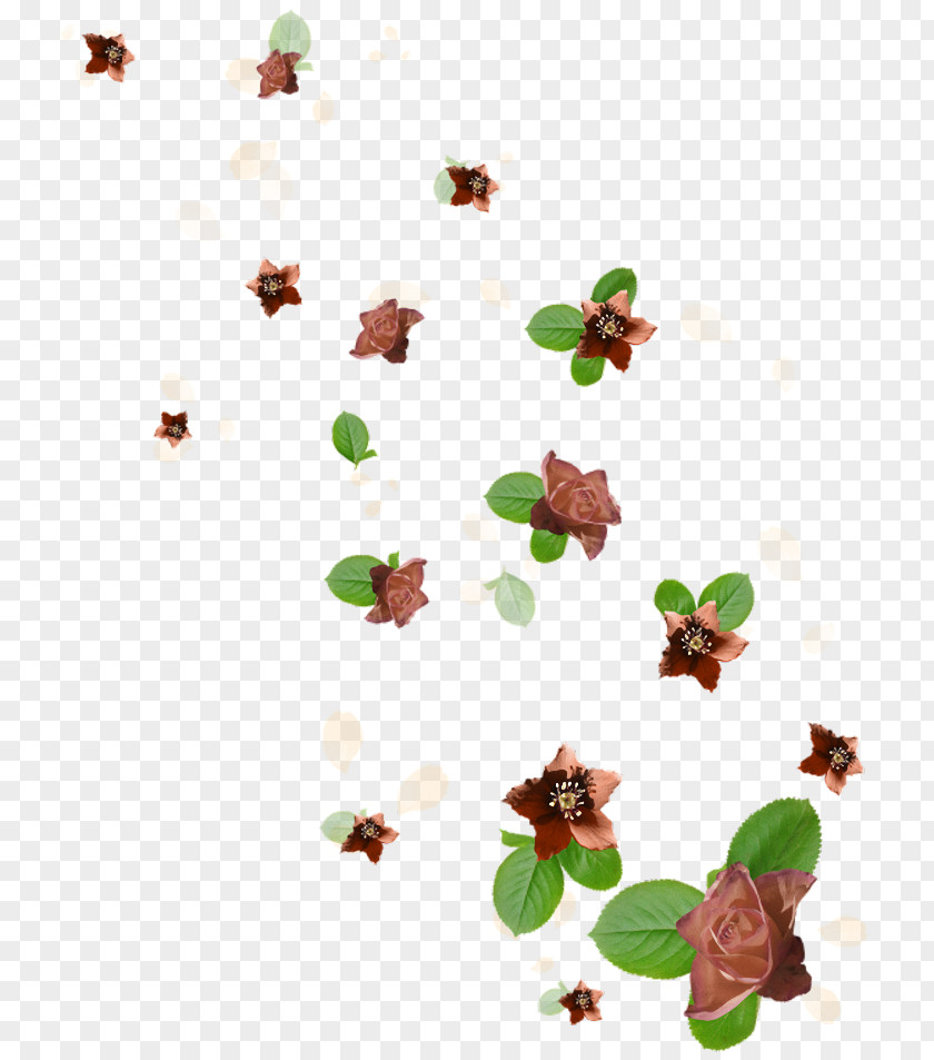 Small Floral Floats PNG