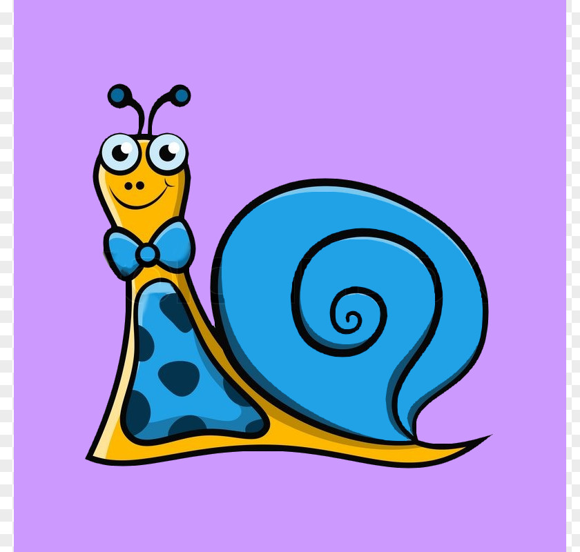 Snail Clip Art Vector Graphics Drawing Cartoon Illustration PNG