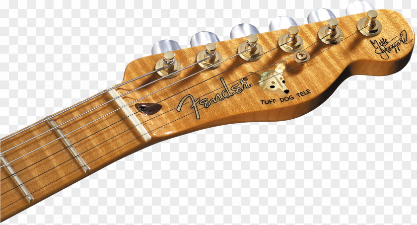 Sunburst Fender Telecaster Thinline Stratocaster Musical Instruments Guitar PNG