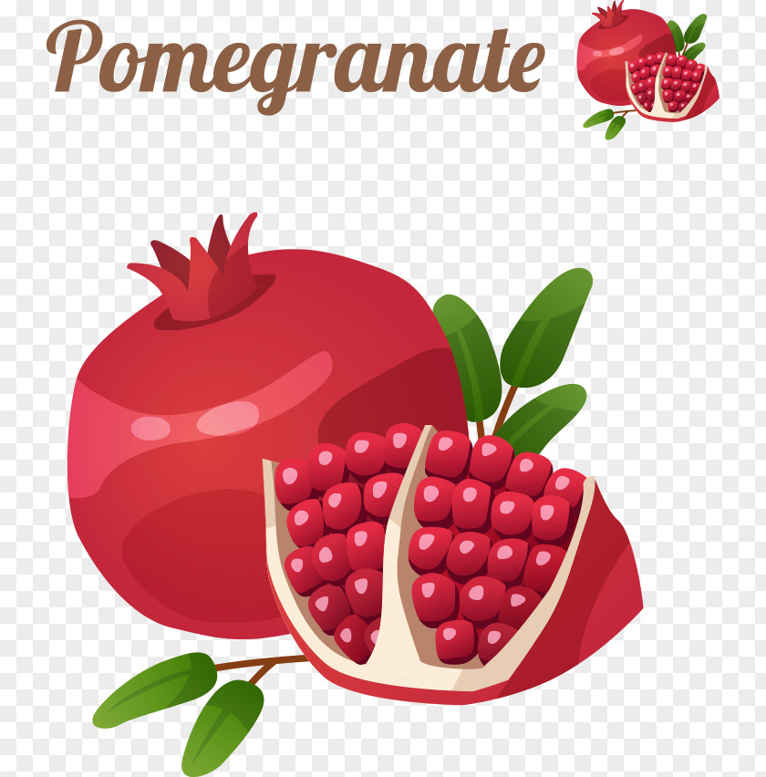 Vector Cartoon Pomegranate Fruit Icon PNG