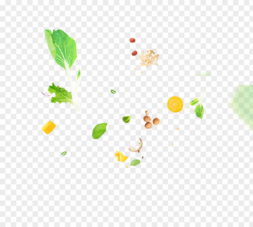 Vegetable Flat Shot Food Fruit Ingredient PNG