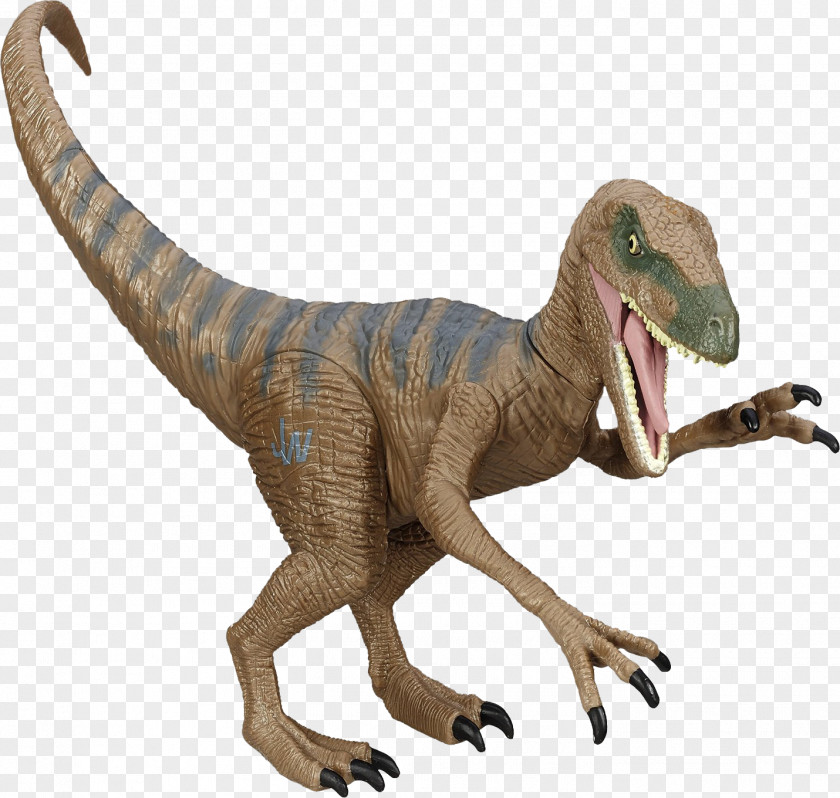 Dinosaur Velociraptor Lego Jurassic World Tyrannosaurus Pachycephalosaurus PNG