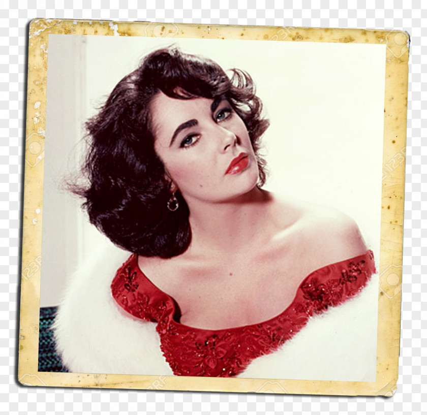 Elizabeth Taylor Actor Classical Hollywood Cinema The Last Time I Saw Paris PNG