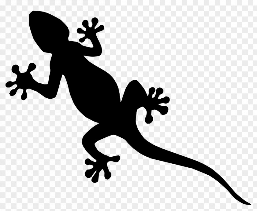 Lizard Common Iguanas Reptile Gecko PNG