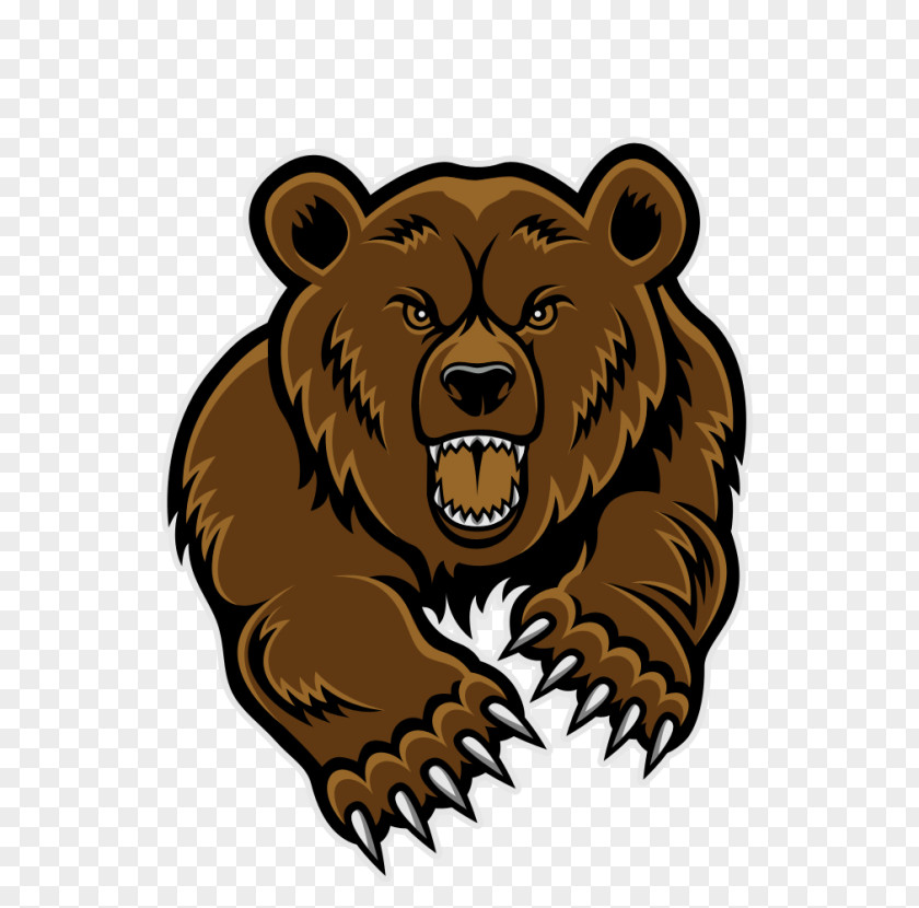Scared Bear Cliparts Polar Brown Baby Grizzly Giant Panda PNG