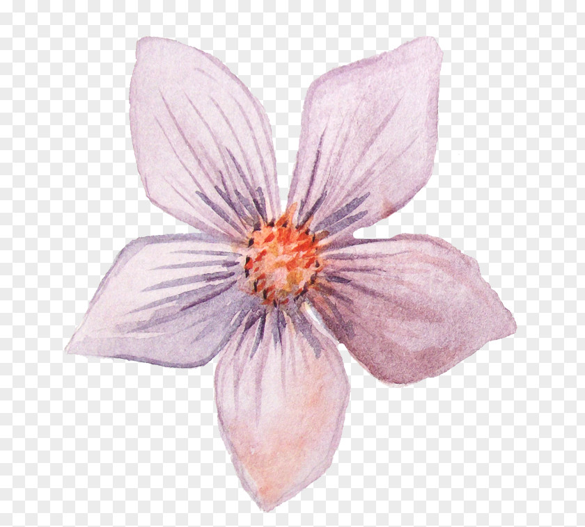 Watercolor Flowers Petal Painting Clip Art PNG
