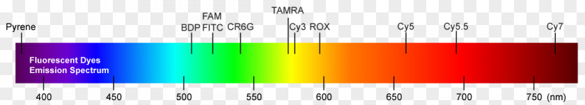 Alexa Fluorescent Dyes Brand Product Design Graphics Energy PNG