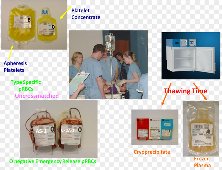 Blood Apheresis Transfusion Product Plateletpheresis Packed Red Cells PNG