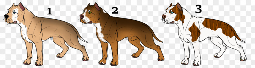 Bred Pit Dog Breed Mustang Foal Rein PNG