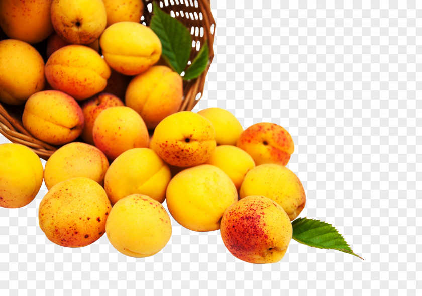 Peach Fruit Auglis Apricot PNG