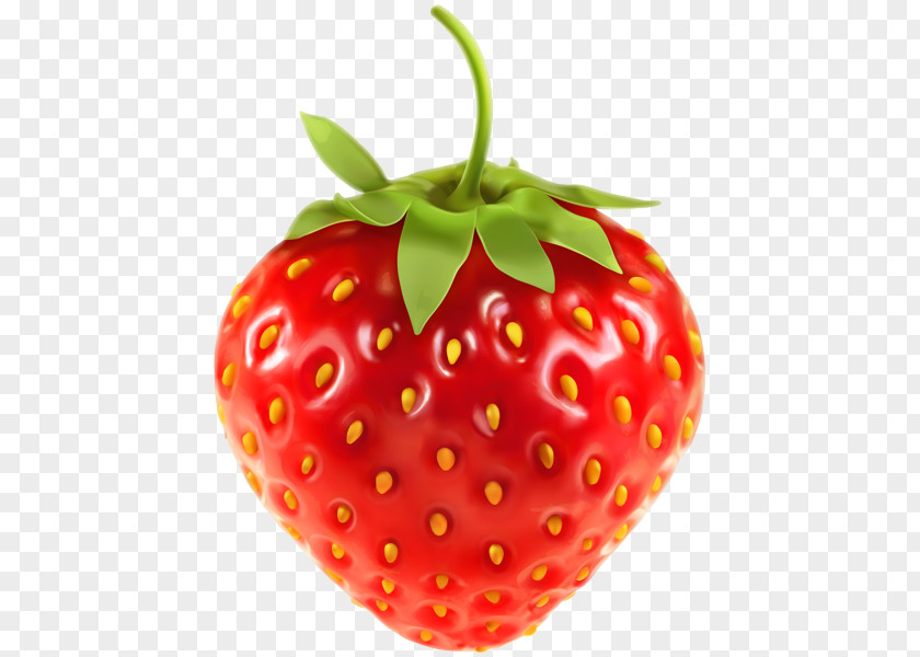 Strawberry Vector Graphics Clip Art Illustration Fruit PNG