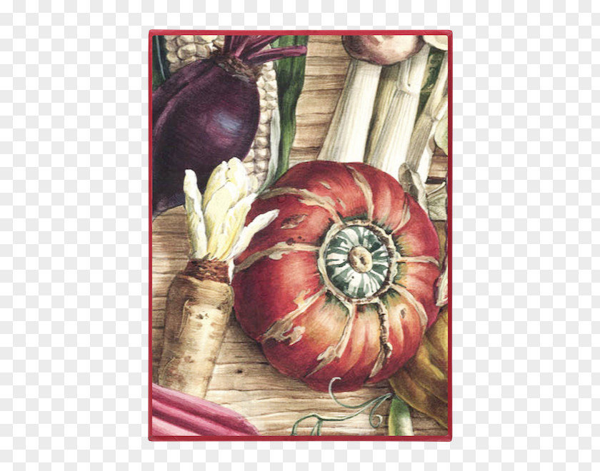 Vegetable Card Greeting & Note Cards Red Onion Still Life Photography Winter Squash Envelope PNG