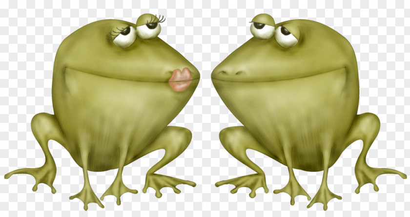 Baby Kiss Toad True Frog Tree PNG