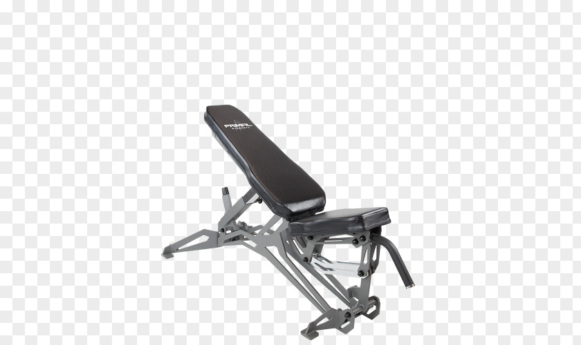 Biceps Frame Body Solid Flat Incline Decline Bench GFID Weight Training Body-Solid, Inc. Fitness Centre PNG