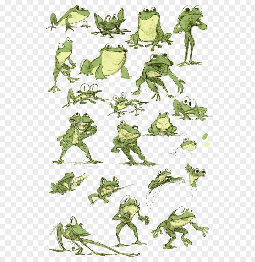 Green Frog Model Sheet Character Drawing PNG