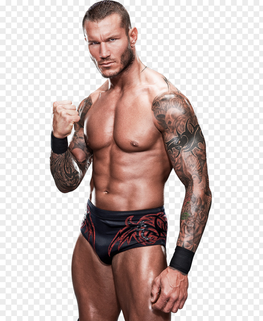 Randy Orton WWE Superstars Professional Wrestling PNG wrestling , randy orton clipart PNG