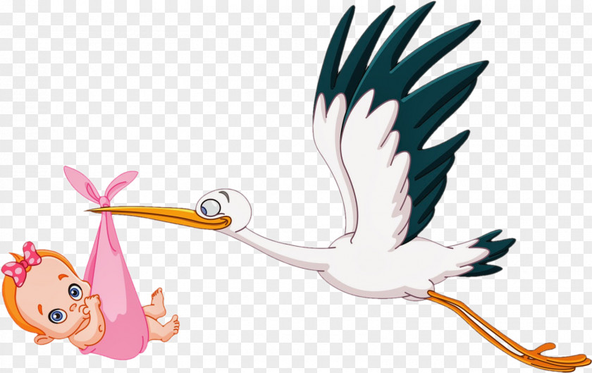 Stork Infant Childbirth Clip Art PNG