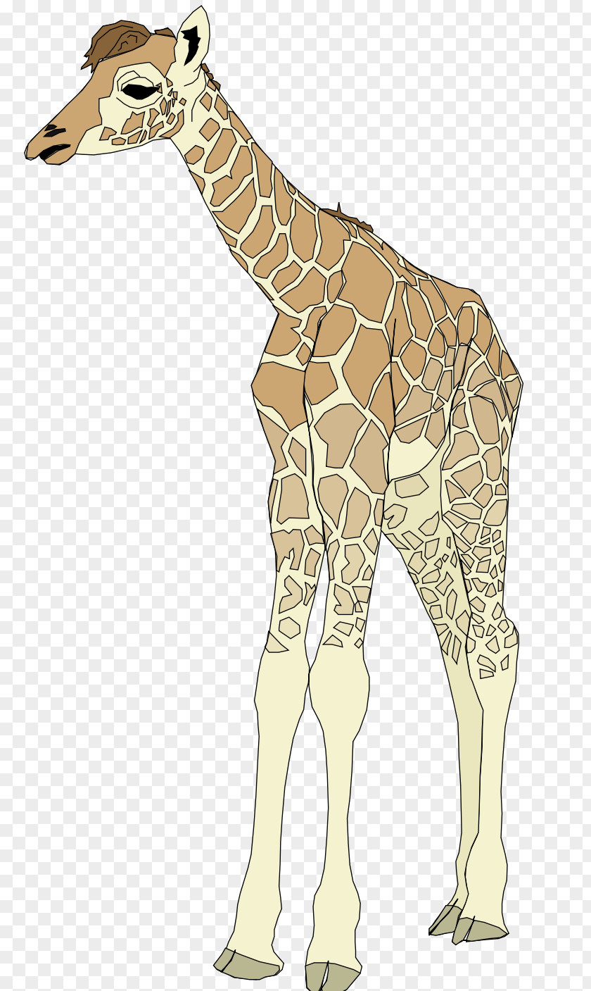 Watercolor Giraffe Clip Art PNG