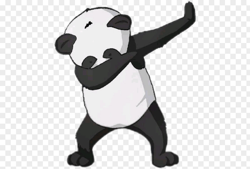 Bear Giant Panda Dab Desktop Wallpaper PNG