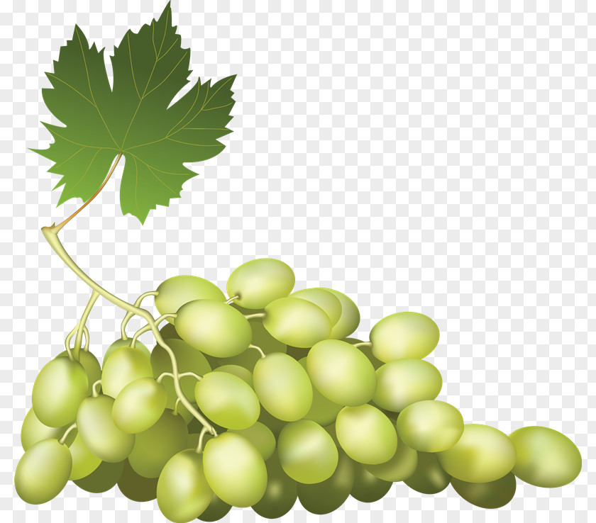 Grape Fruit PNG