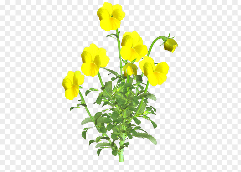 Planta Cut Flowers Plant Stem PNG