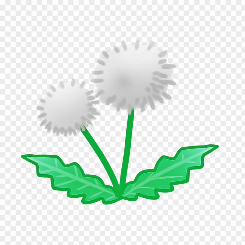 Leaf Painting PNG