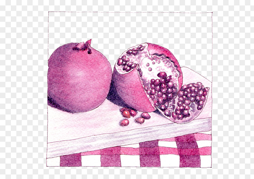 Pomegranate Lilac Purple Magenta Violet PNG