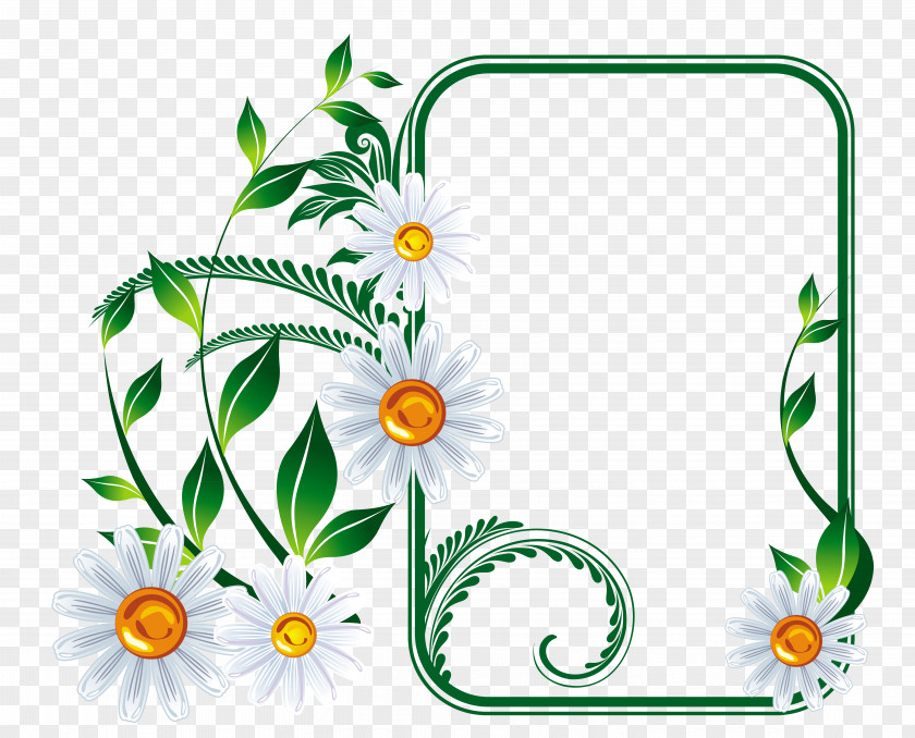 Quadro Picture Frames Flower Graphic Design PNG