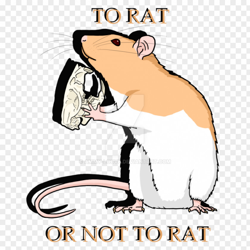 Rat & Mouse Rodent Muroidea Clip Art PNG