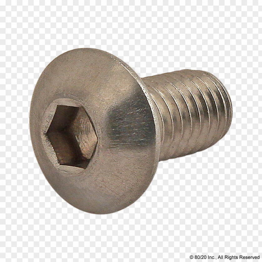 Screw Fastener 80/20 Button 420 Day PNG