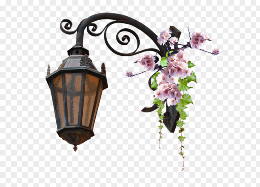 Street Light Sivrisinek Mucizesi Landscape Design PNG