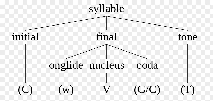 Word Syllable Phonology Wikipedia Isochrony Stress PNG