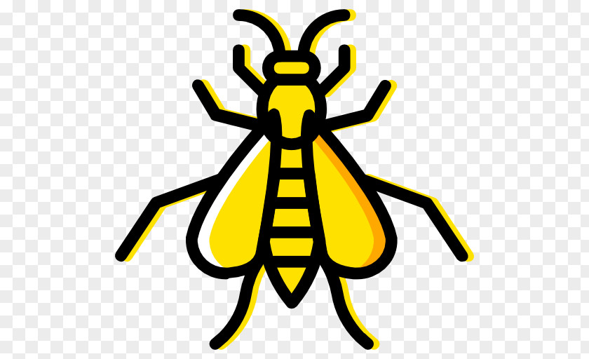 Bee Western Honey Hornet Insect Wasp PNG