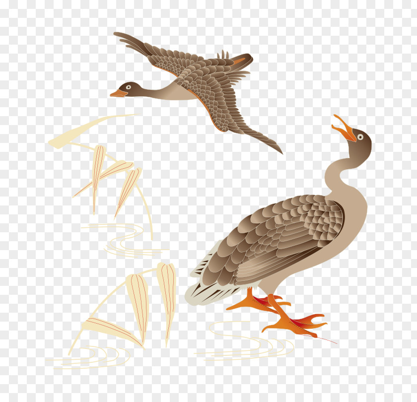 Cartoon Painted Ripples Shoot Flying Bird Duck Mallard Sparrow PNG