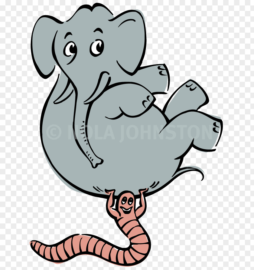 Elephant Illustration Indian African Cartoon Line Art Clip PNG