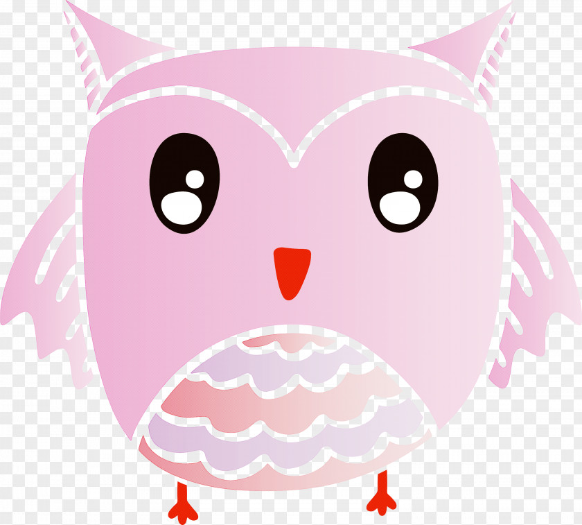 Owls Birds Beak Bird Of Prey Snout PNG