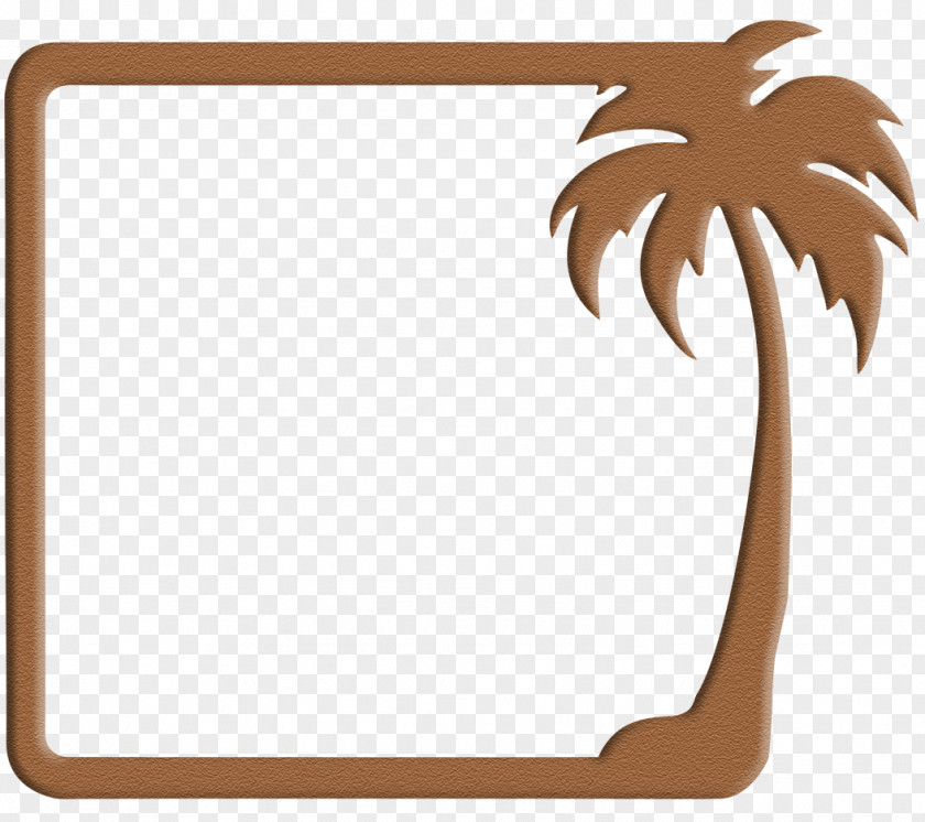 Palm Border Picture Frames Arecaceae Tree Decorative Arts PNG