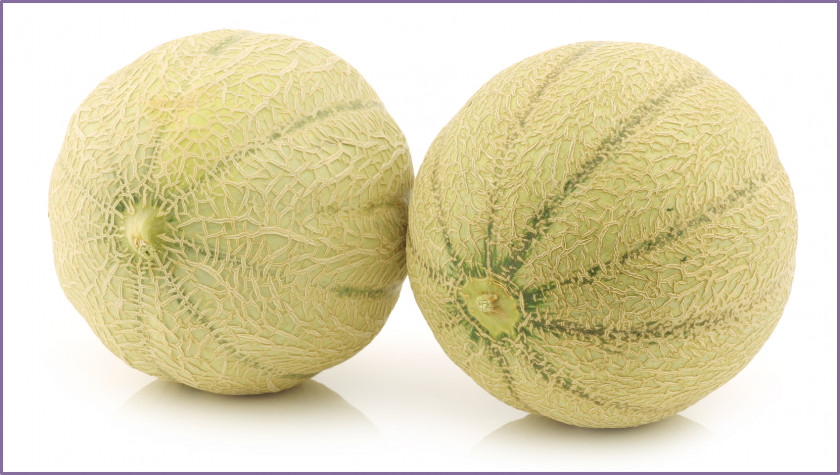 Peter Rabbit Cantaloupe Melon Stock Photography Royalty-free PNG