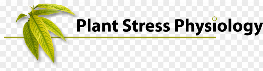 Plant Physiology Stress PNG