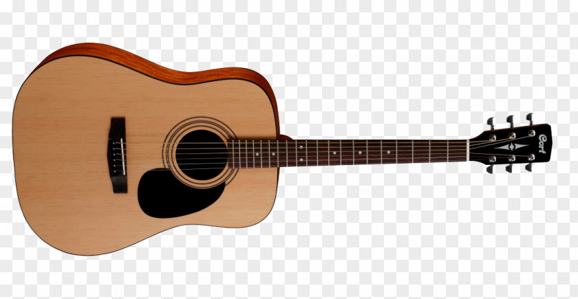 Acoustic Guitar Steel-string Cort Guitars Dreadnought PNG