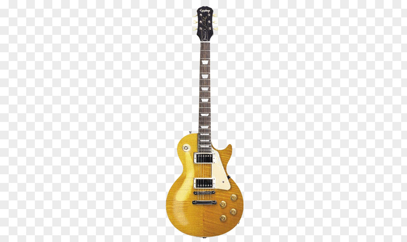 Bass Guitar Gibson Les Paul Custom Epiphone Firebird PNG