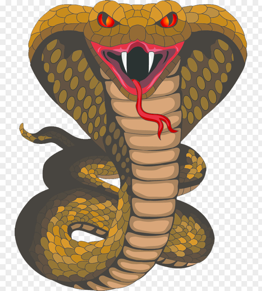 Cobra Mascot Cliparts King Snake Clip Art PNG