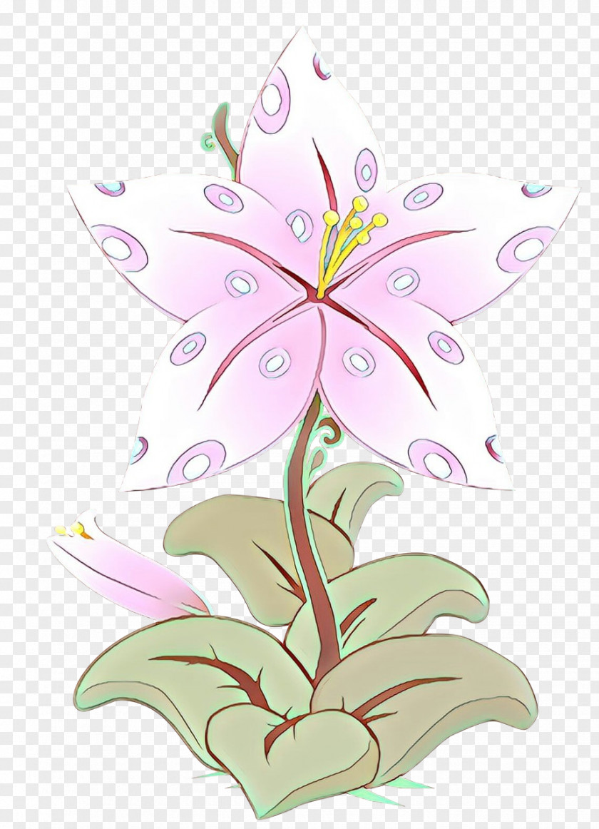Flower Plant Pink Lily Petal PNG