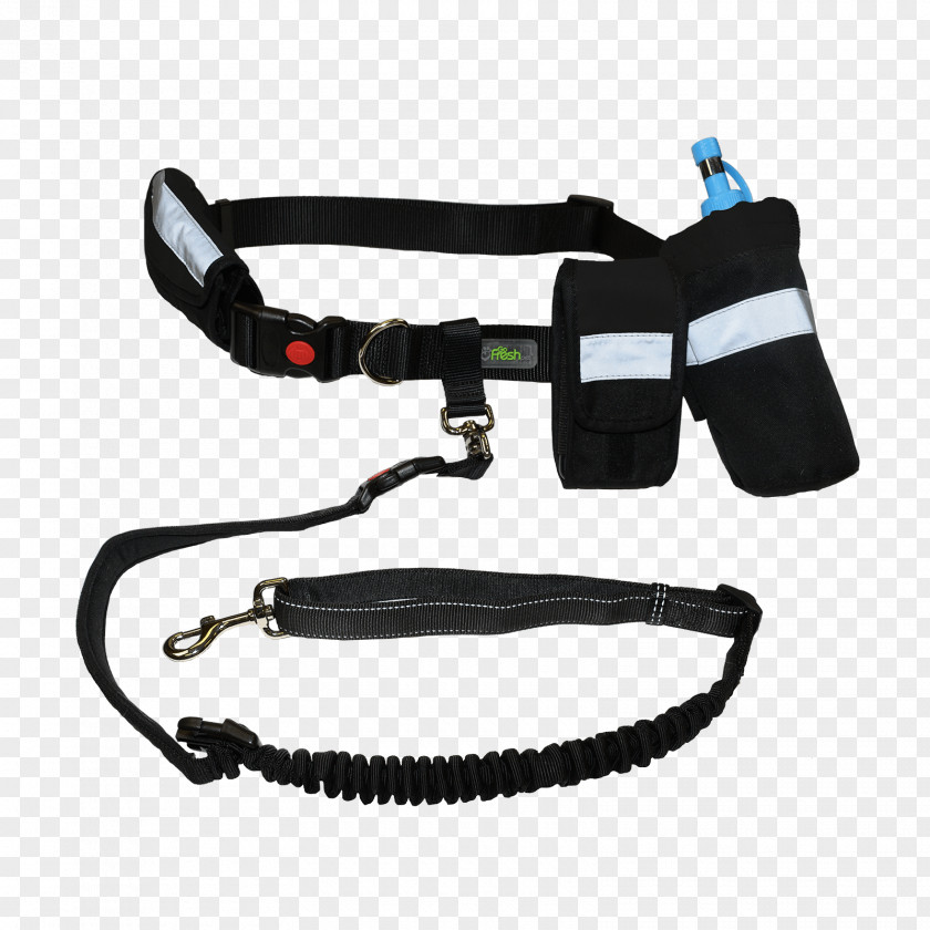 Freak On A Leash Unplugged Belt Dog Collar Harness PNG