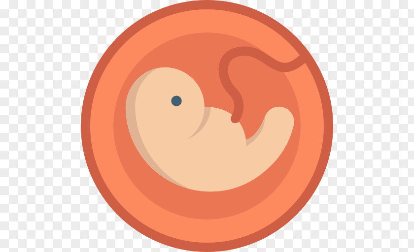 Pregnancy Clip Art PNG