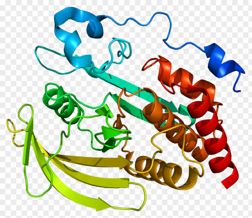 Sodiumglucose Transport Proteins Protein Phosphatase Tyrosine Enzyme PNG