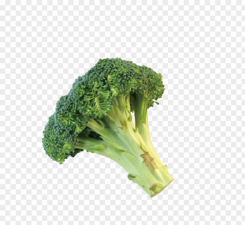 Broccoli Broccolini Romanesco Cauliflower PNG